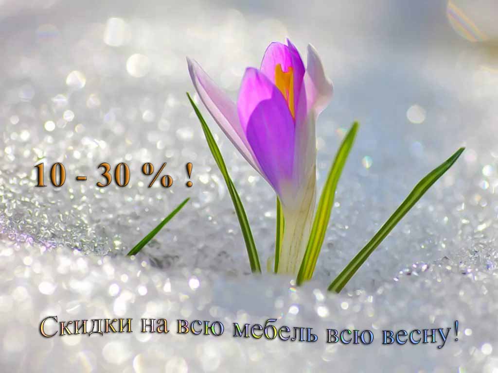 Весна Весна 2026